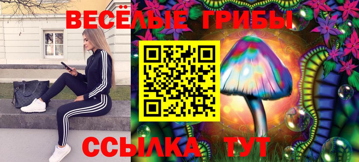 магазин продажи   Псилоцибиновые грибы мицелий  Вход с VPN  Невинномысск 