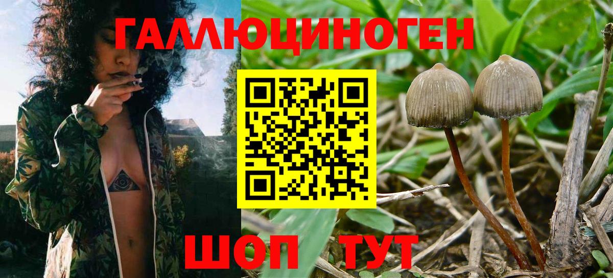 Псилоцибиновые грибы прущие грибы Невинномысск